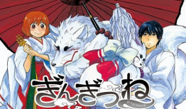 银狐动漫,奇幻世界中的银色传奇